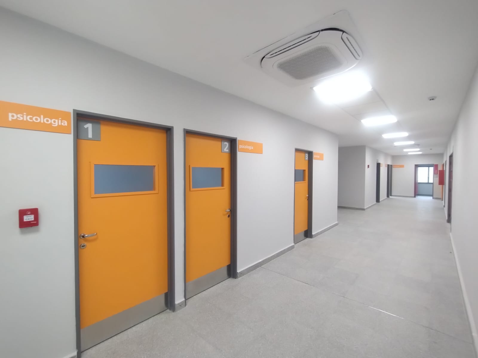 APS EN ALMAFUERTE II